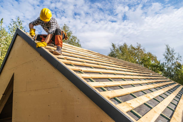 Best Roof Gutter Cleaning  in Elmer, NJ