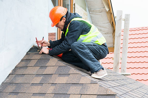 Best Emergency Roof Repair  in Elmer, NJ